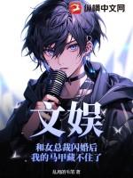 和总裁闪婚的宠文